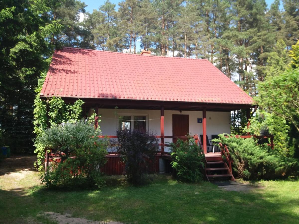 Dom Pod Sosnami Holiday home Narty